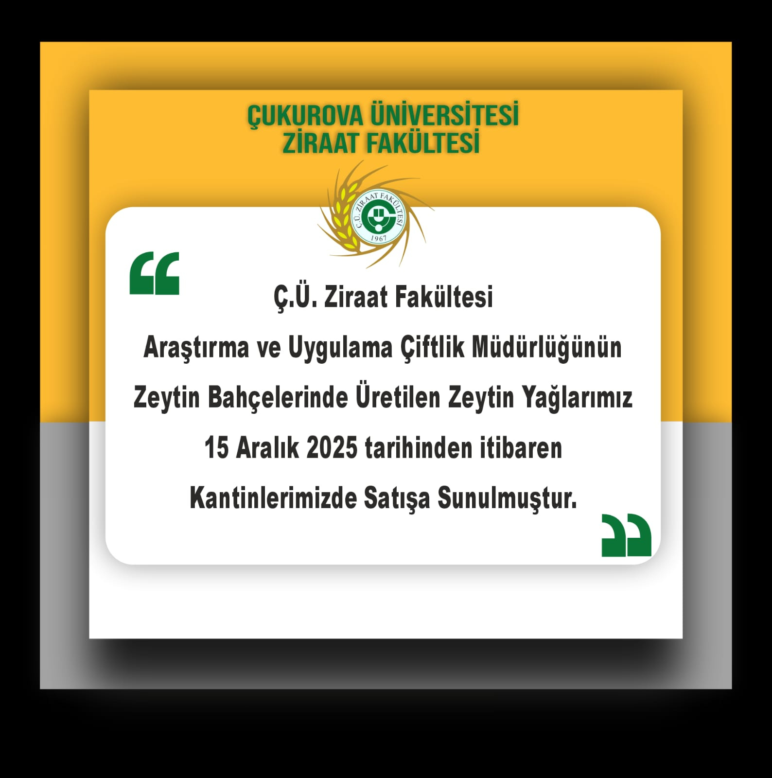 Zeytin Yağı Satışlarımız Başlamıştır.